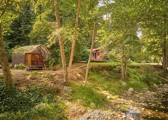 Big Sur Campground And Cabins
